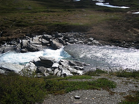 Abisko Juni 2009 dag 4 - 43.jpg